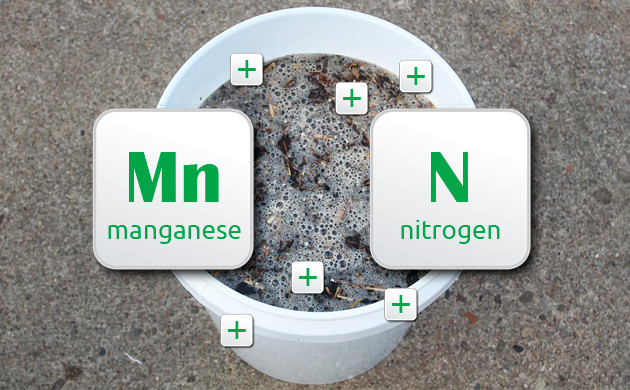 compost tea recipe