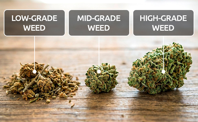 What does the quality of weed depend on good weed