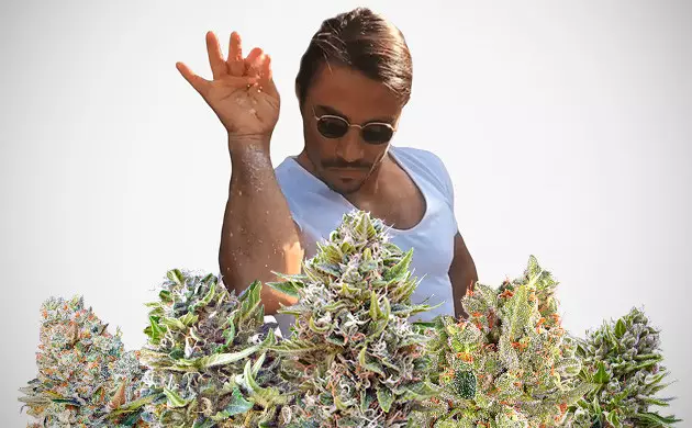 epsom salt for weed