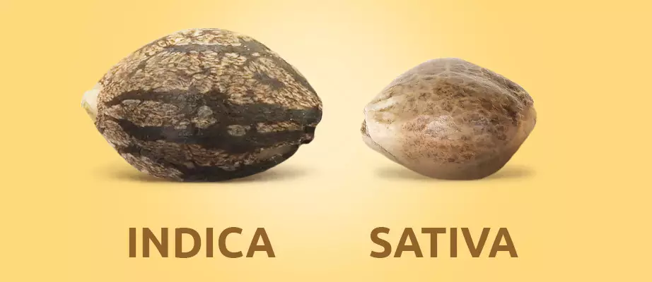 differences visuelles