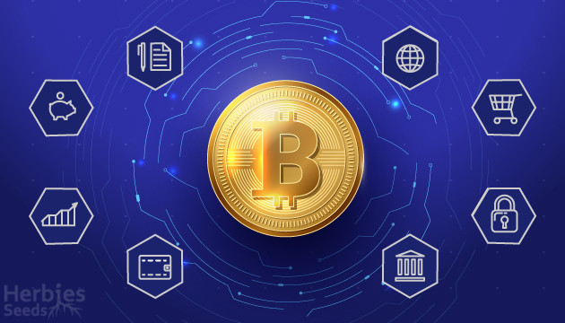 comprar sementes com bitcoin