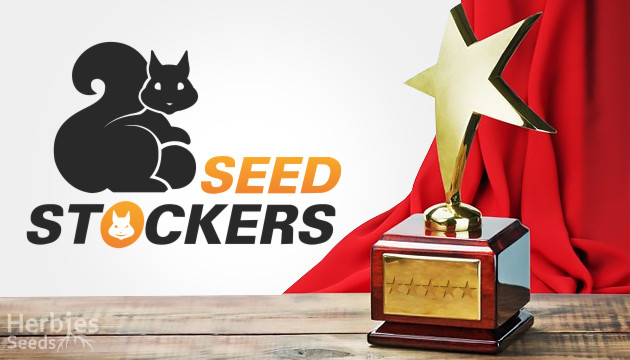 Buy Seed Stockers seeds