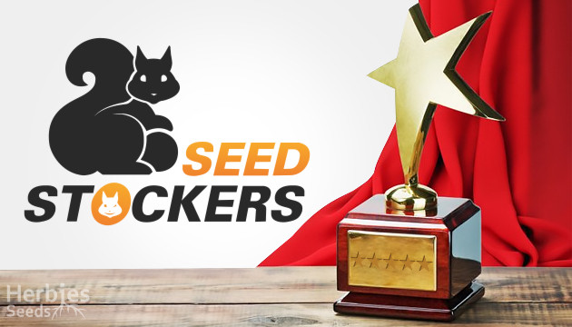 Semillas de Seed Stockers