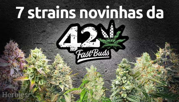buds rapidos ate no nome