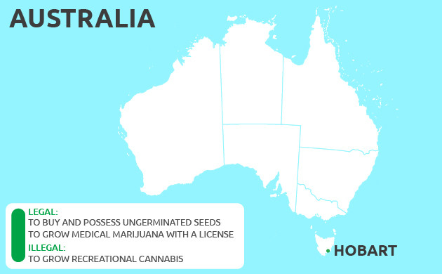 Can You Grow Cannabis in Hobart