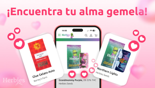 celebra el día de san valentín con herbies