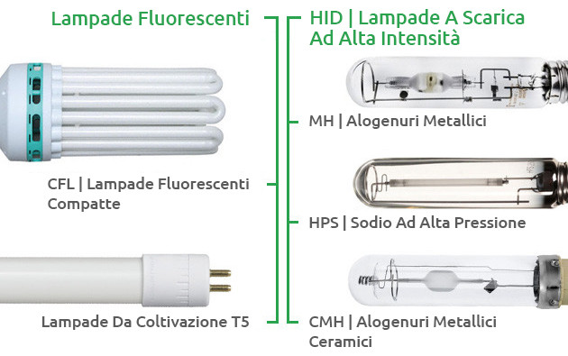 molte lampade, più possibilità