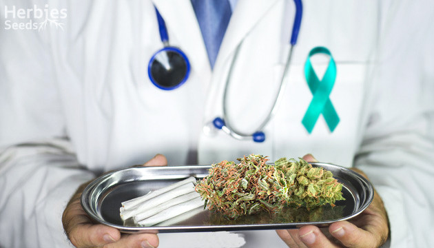 Top Cannabis Strains For PTSD