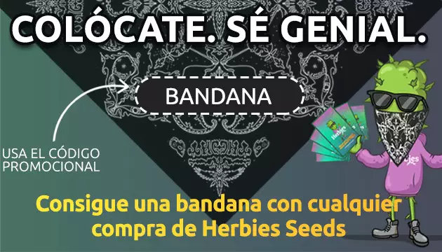 bandana gratis con cualquier compra de semillas Herbies