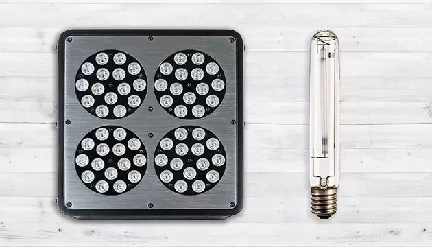 Iluminación adecuada cogollos más potentes