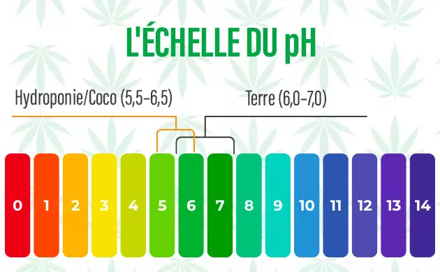 ajuster le pH du milieu de culture