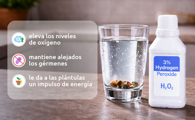 beneficios del peroxido de hidrogeno para la germinacion de semillas