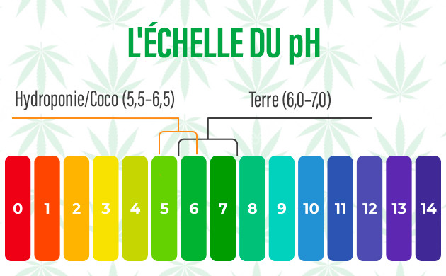 ajuster le pH du milieu de culture
