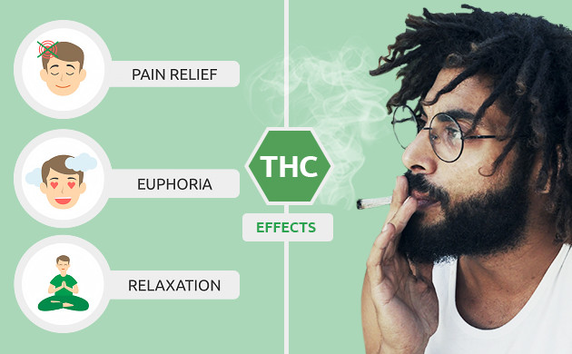 What makes cannabinoids work? 