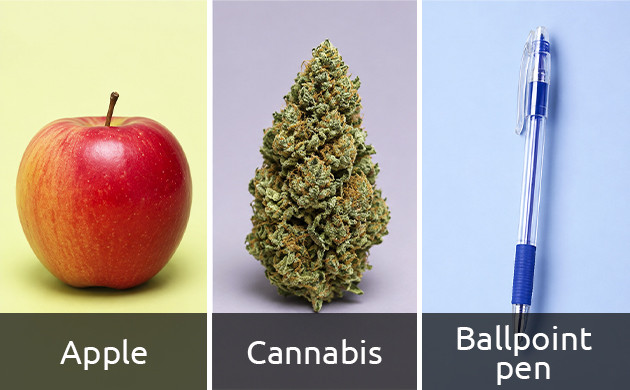 apple pipe