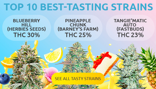 best tasting strain