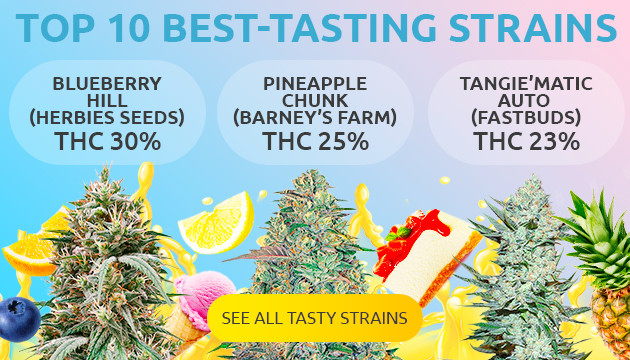 best tasting strains