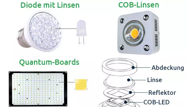 cannabis grow lights