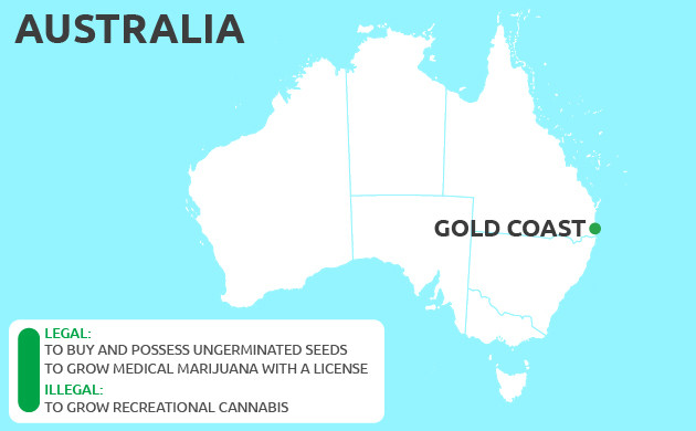 Can You Grow Cannabis on Gold Coast