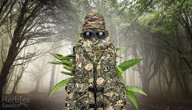 camouflage your outdoor grow