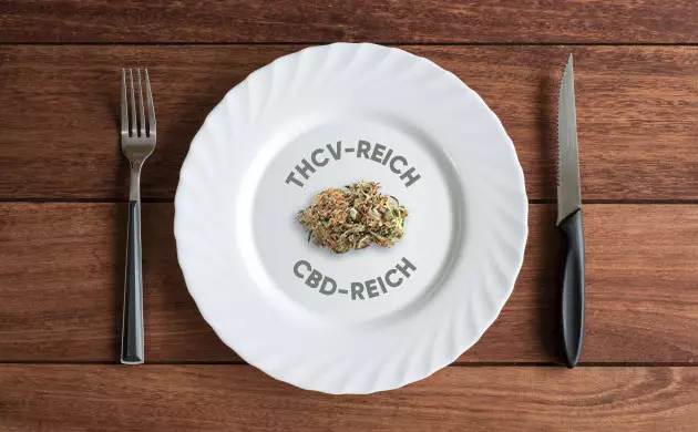 warum regen manche cannabis sorten den appetit an und andere nicht