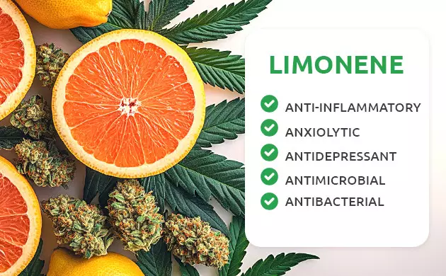 limonene