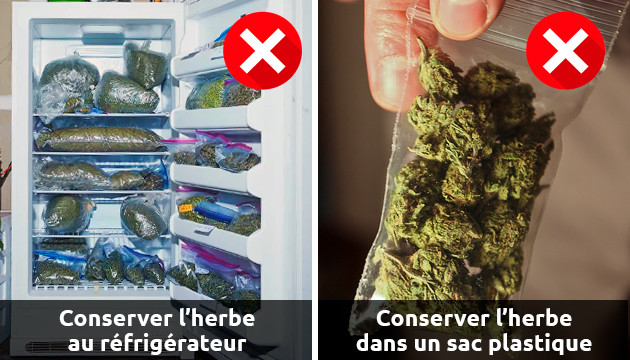 ce qu’il faut absolument éviter pour conserver le cannabis