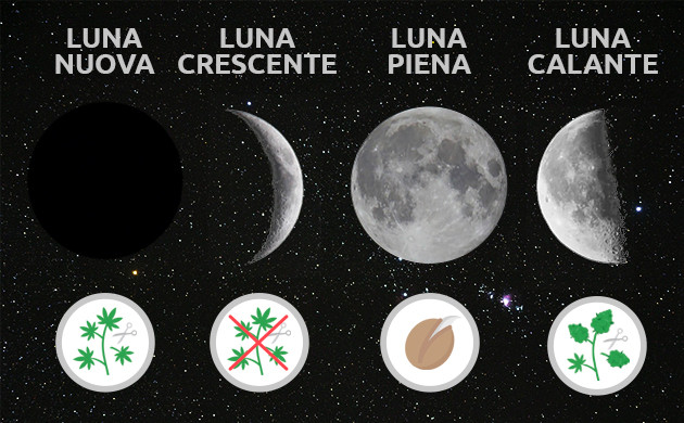 Cannabis Growing According To The Moon’s Phases