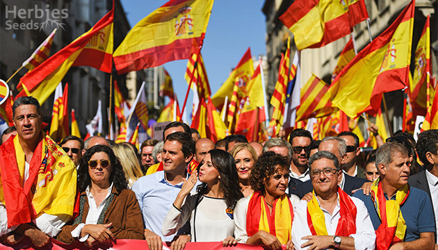 c'est le jour de l'hispanité, une grande fête nationale en espagne