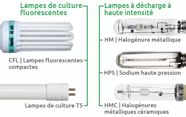 Beaucoup de lampes, beaucoup de possibilités