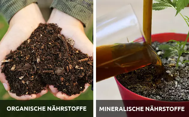 Nährstoffe auswählen – organisch oder mineralisch