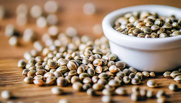 Marihuana-Anbaumaschinen