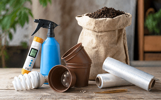 how to germinate cannabis seeds in soil