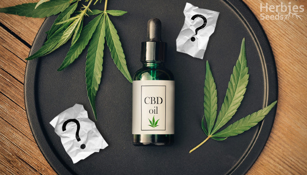 questions les plus frequentes sur l'huile de cbd