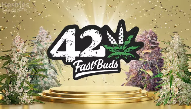Compra semillas de Fast Buds
