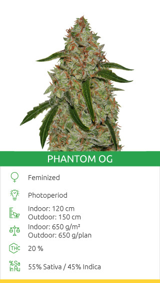 phantom og