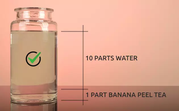 How to Use Banana Fertilizer on Cannabis