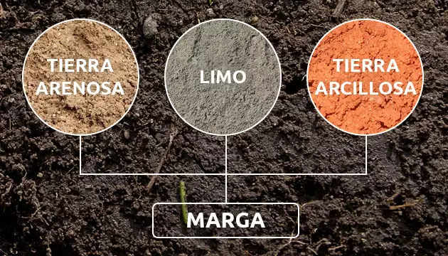 Marga