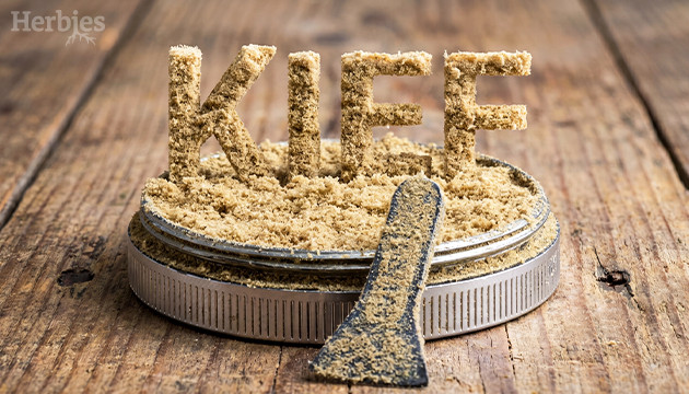 What is kief and how can you use it? kief weed