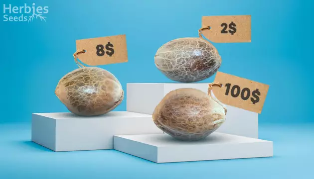 How much are weed seeds