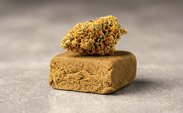 best cannabis concentrate