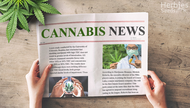 latest cannabis news