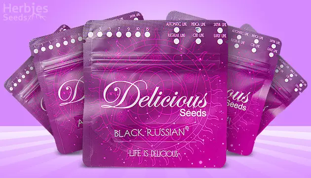 Delicious Seeds buy seeds