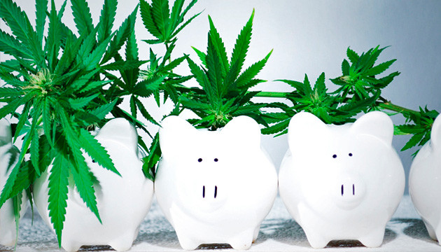 cheapest way to grow marijuana