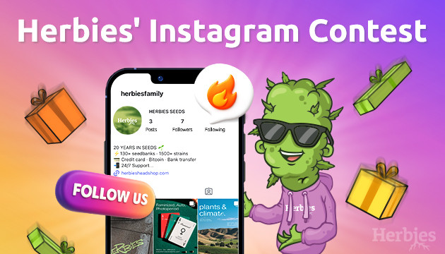 new instagram new giveaway