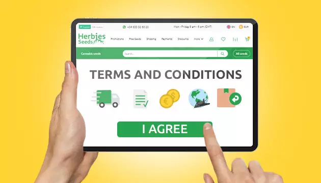 Terms And Conditions