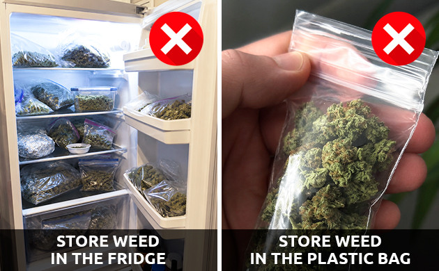 how long does weed stay good for