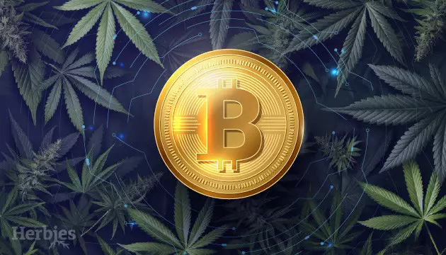 buy cannabis seeds with bitcoin