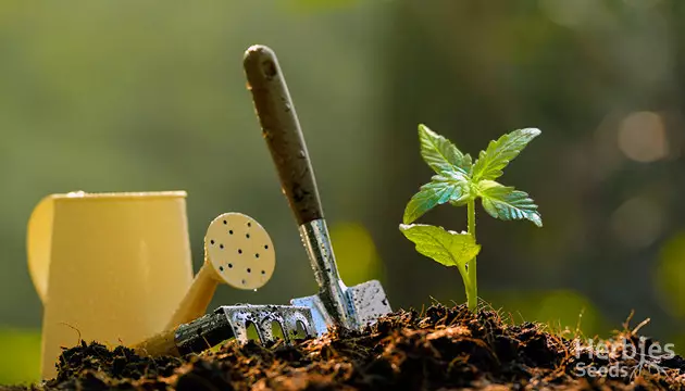herramientas necesarias para el cultivo en exteriores
