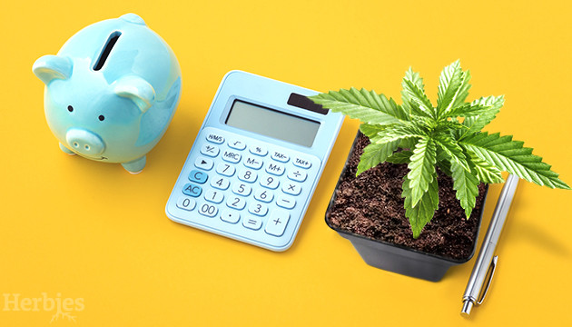 how to grow weed on a budget